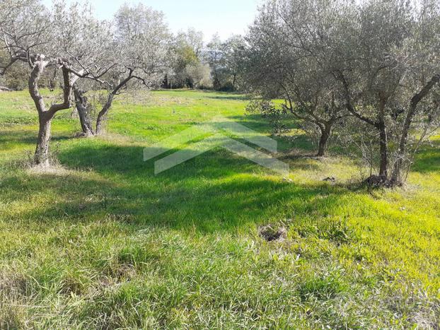 Terreno Agricolo - Guardialfiera