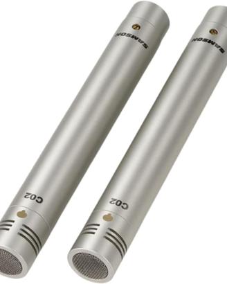 Coppia Microfoni a Condensatore