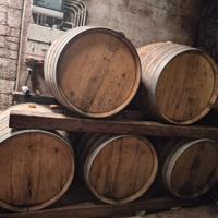 Macchine agricole, attrezzature per la viticoltura