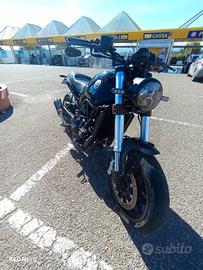 Benelli Leoncino 500