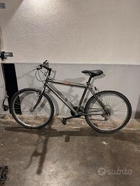 mountain bike rigida