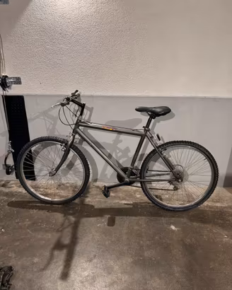 mountain bike rigida