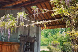 Cascina privata per eventi - spazio cur