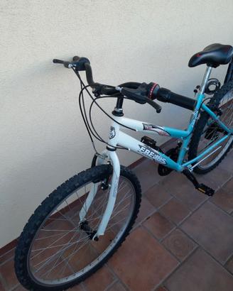 Bicicletta FREJUS