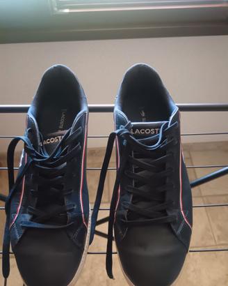 Sneakers lacoste
