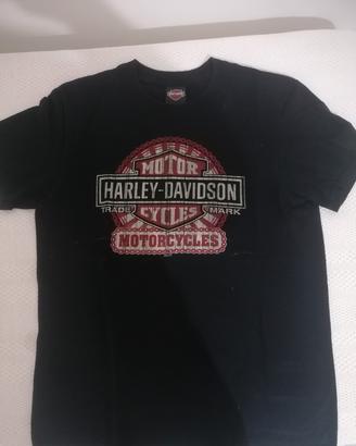Tscirt harley davidson 