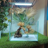 lampada a led per acquario con supporto 