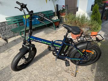 Bici elettrica fat bike