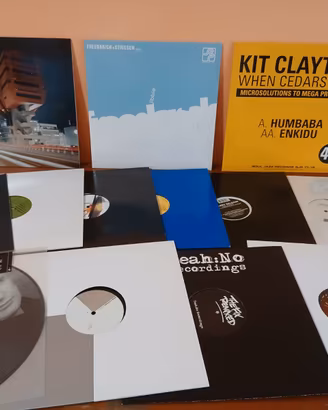Lotto 25 Vinili Techno, Tech House, Minimal 