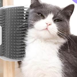 Spazzola gatto