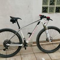 Specialized Stumpjumper