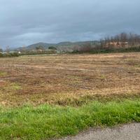 Terreno localita' fice ascea marina