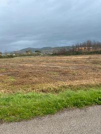 Terreno localita' fice ascea marina