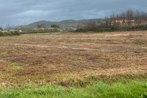 Terreno localita' fice ascea marina