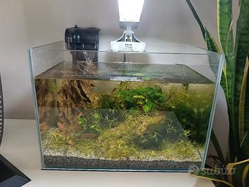 acquario comleto 20 litri