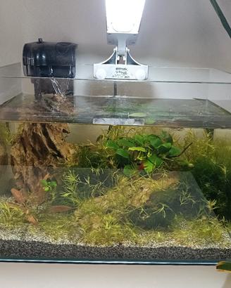 acquario comleto 20 litri