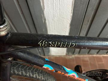Mountain bike