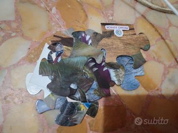 puzle dei dinosauri 
