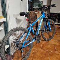 Bicicletta Mtb Brera Oxygen 24"