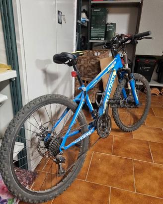 Bicicletta Mtb Brera Oxygen 24"
