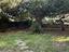Immagine 22