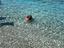 Immagine 7