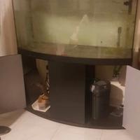  ACQUARIO 240 L CON VETRO MEZZALUNA