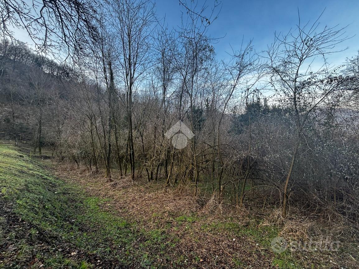 TER. AGRICOLO A LIERNA - Vista 5