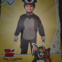 Vestito carnevale