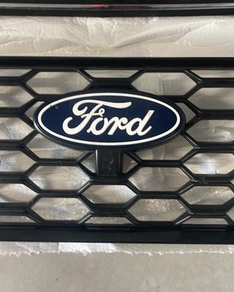 Griglia Ford Transit Custom