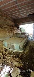 Mercedes gattone da restaurare