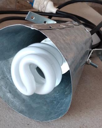 lampada UV per rettili o altro