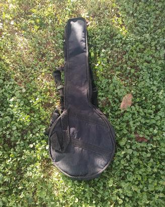 custodia per banjo
