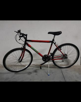 Bici mountain bike
