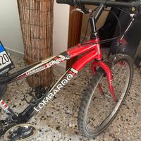 Bici lombardo