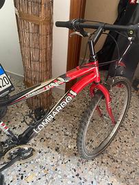 Bici lombardo