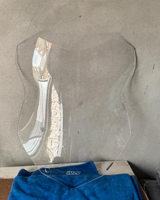 Cupolino Wrs BMW gs 1250