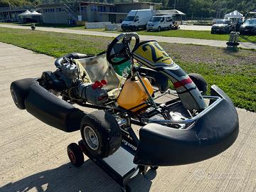Kart Minarelli/ Vortex Rok