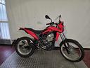 betamotor-alp-4-0