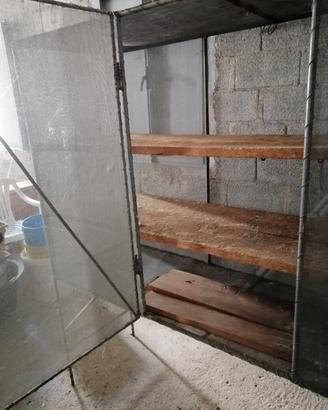 Moscarola / gabbia /antica dispensa