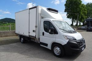 OPEL Movano 35q.li Maxi 140hp PL Cella 3.70 -20°