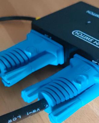 Switch VGA