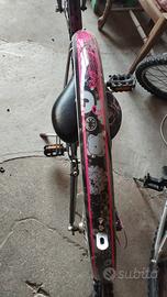 bicicletta ragazza