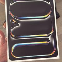 Ipad pro 13 m4 512 nuovo