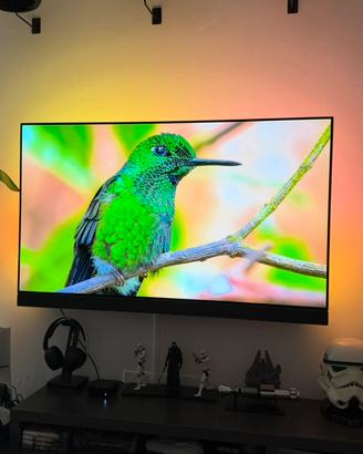 Philips 55 OLED 903 Ambilight B&W 4K
