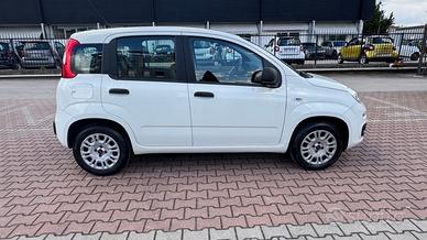 FIAT New Panda 1.2 S.&S. E6D-TEMP EASY 5 POSTI