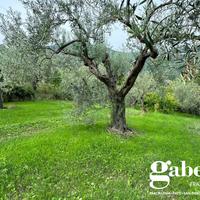 Terreno Agricolo Patti [Cod. rif 3178079VCG]