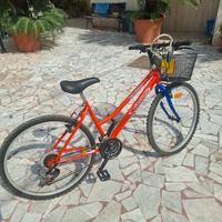 Mountanbike donna Kalin