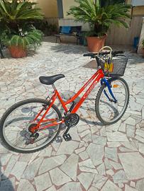 Mountanbike donna Kalin