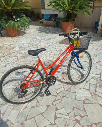 Mountanbike donna Kalin